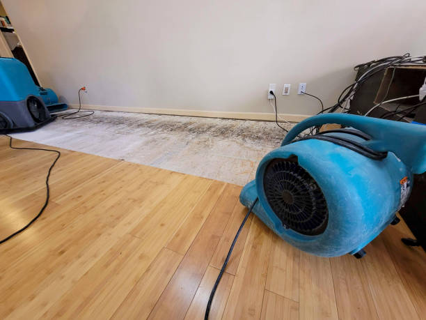 Professional Structural Drying technician working in Ames, TX